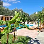 Amelia's Garden