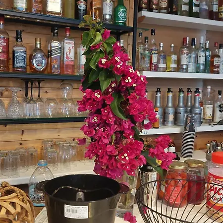 Lägenhetshotell Amelia's Garden 4*