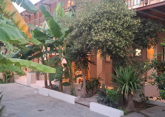 Amelia's Garden