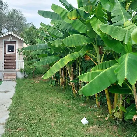 Appart hôtel Amelia's Garden