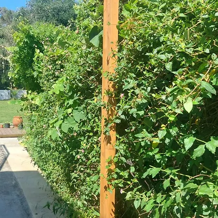 Апарт-отель Amelia's Garden Кавос