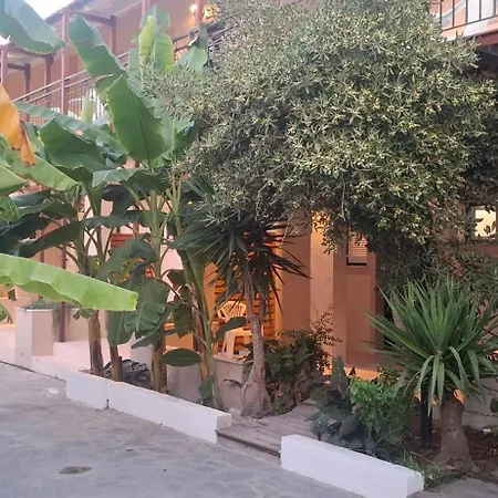 Amelia's Garden