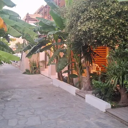 Amelia's Garden