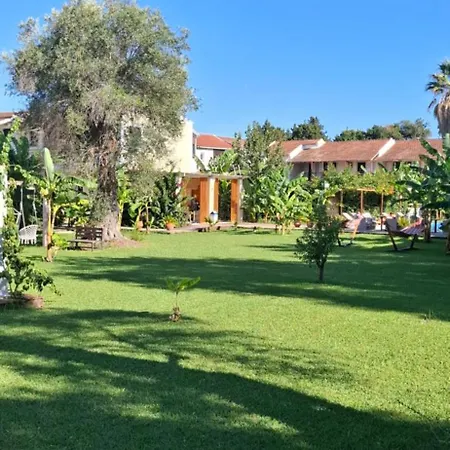 Lejlighedshotel Amelia's Garden Kávos