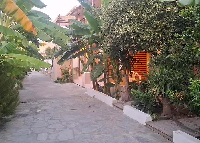 Amelia's Garden