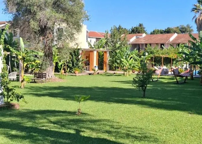 Lägenhetshotell Amelia's Garden Kávos